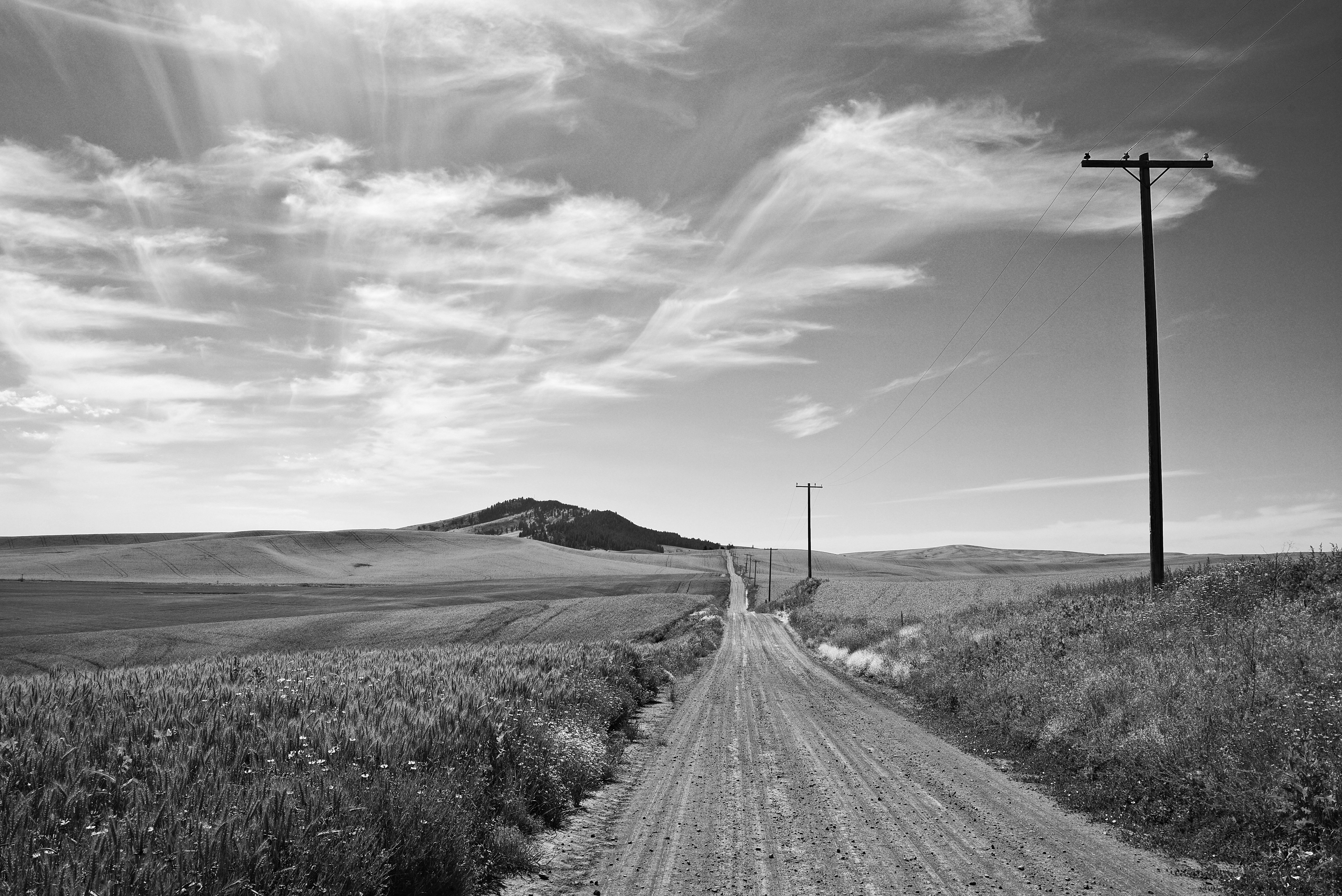 A narrow country road disappearing into low morning mist, with telephone wires cutting across the frame.